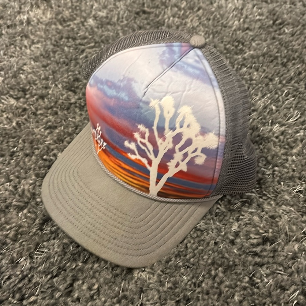 Patagonia Joshua Tree Hat
